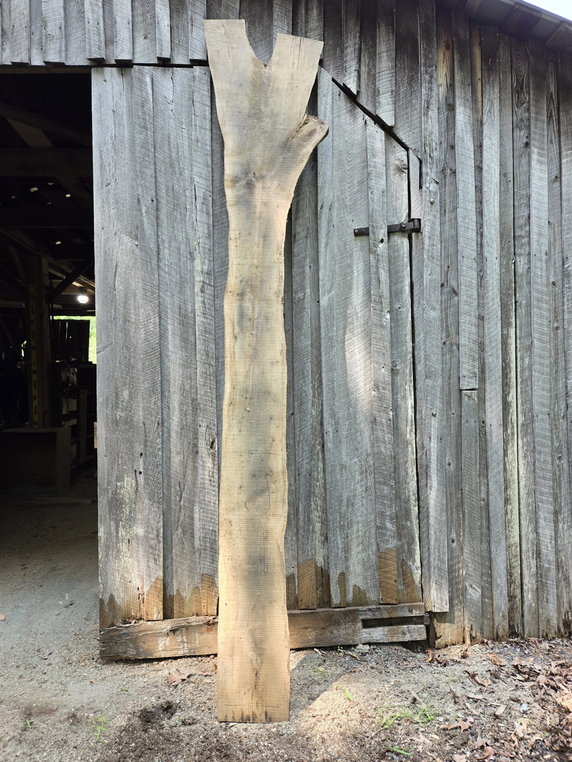 Ash – Broomhollow #001