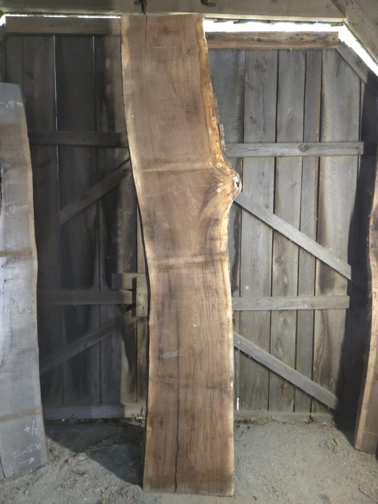 Walnut -Mickley 2 – BW04