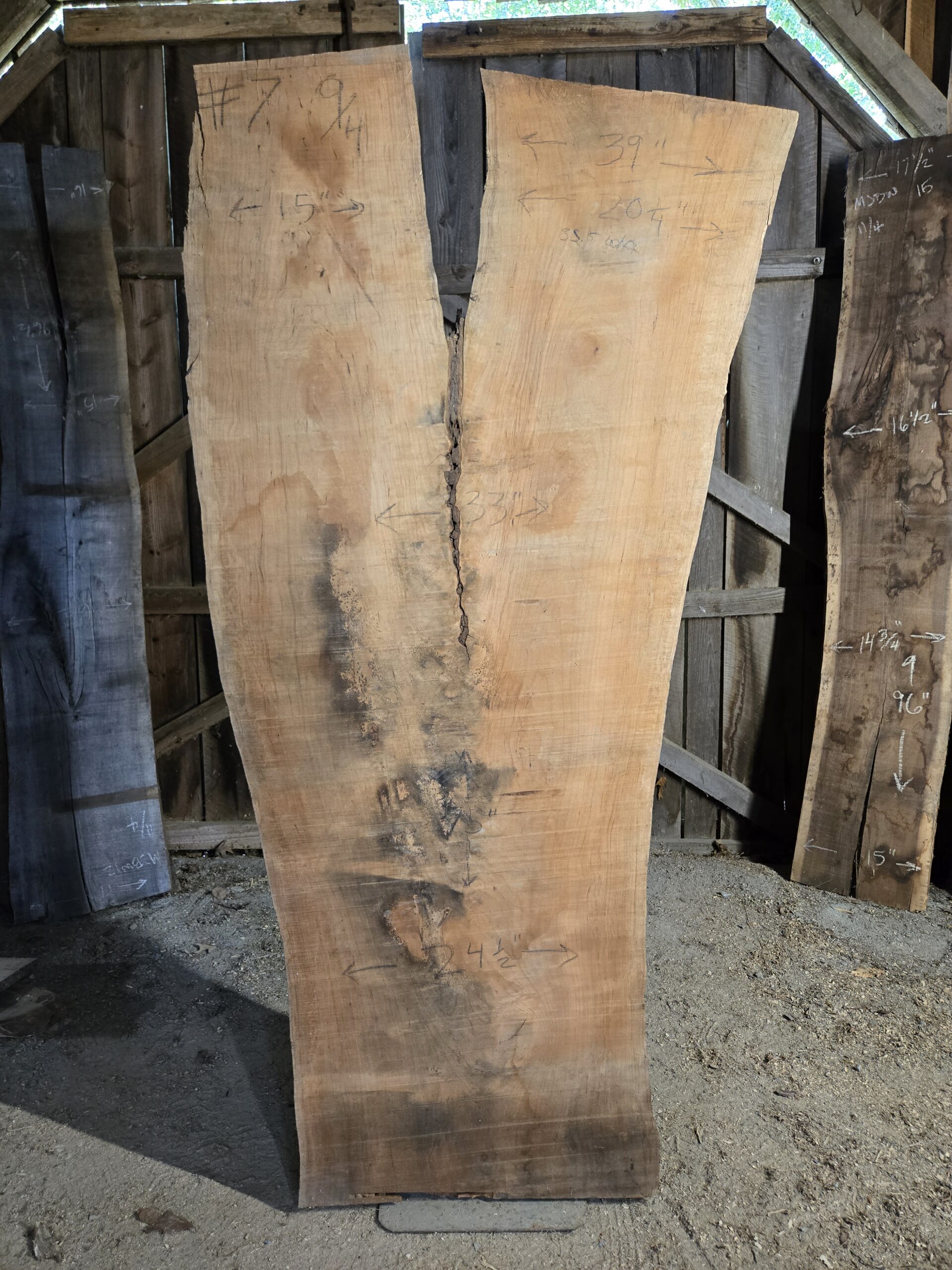 Cherry – Town of Orange #004