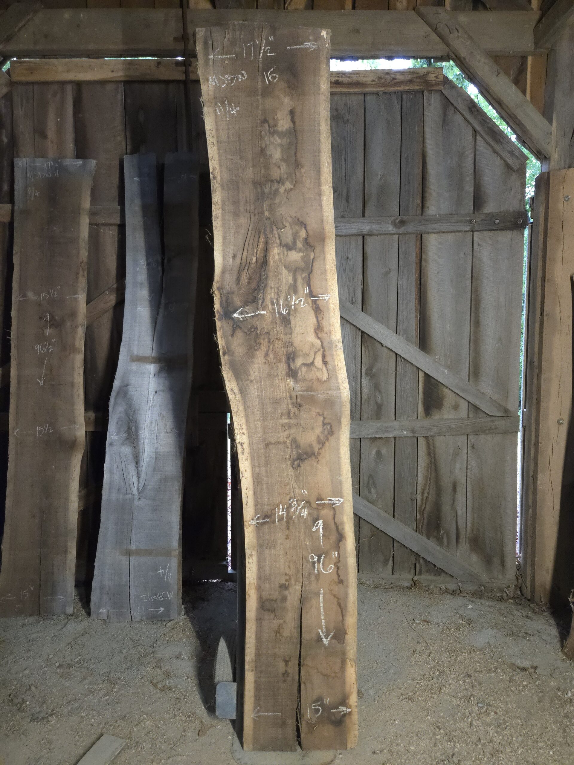 Walnut – MJBW #015