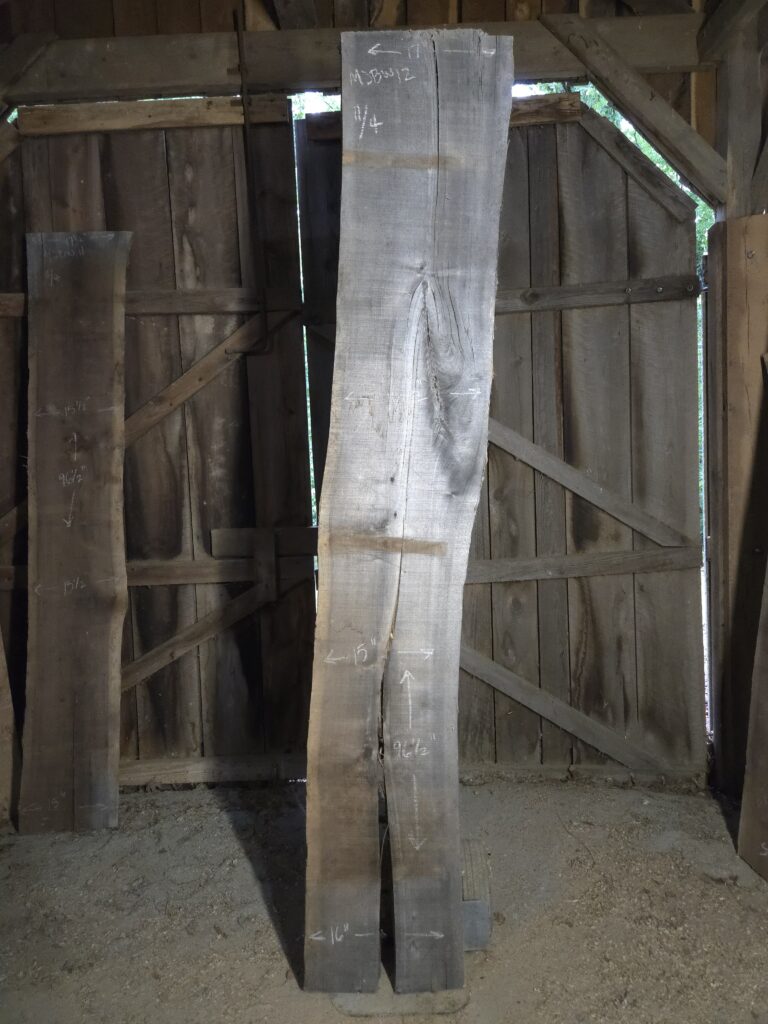 Walnut – MJBW #012