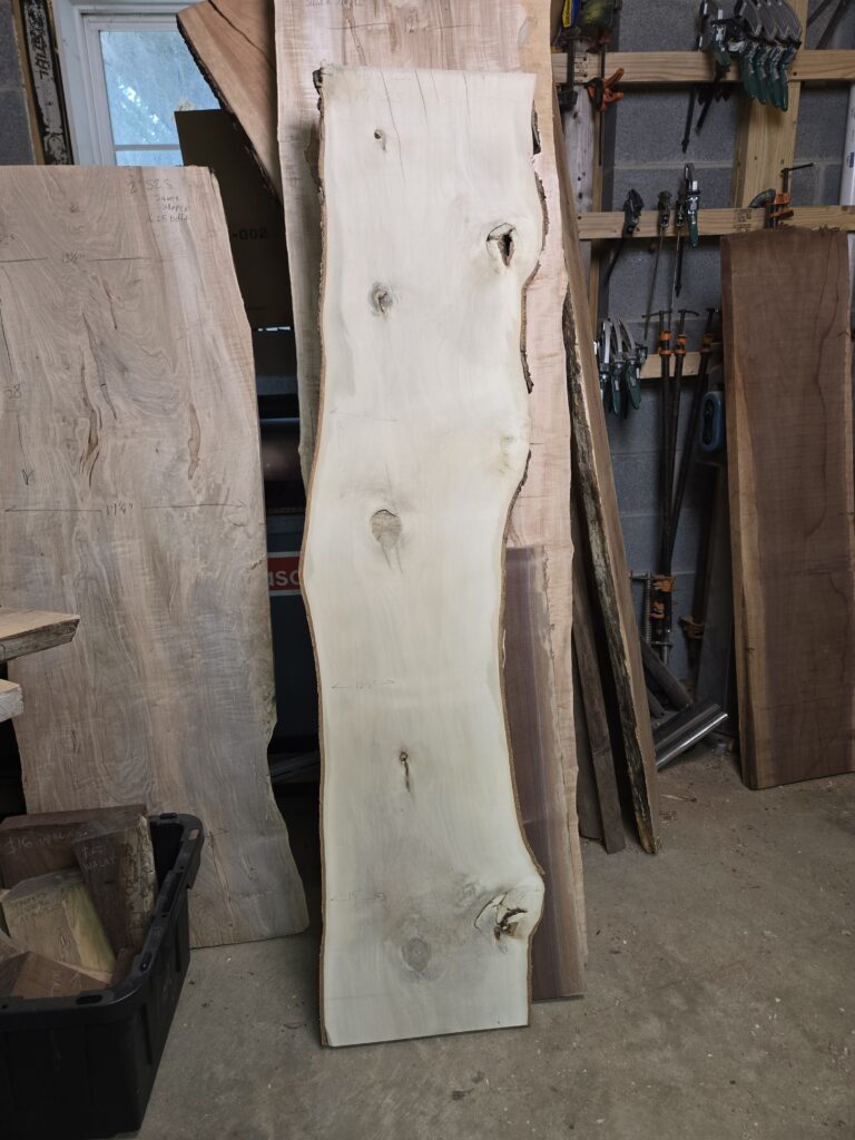 Holly from Hogwaller – #001 <span class="slab-sold-tag">— SOLD</span>