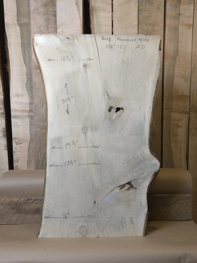 Holly – Hogwaller #006