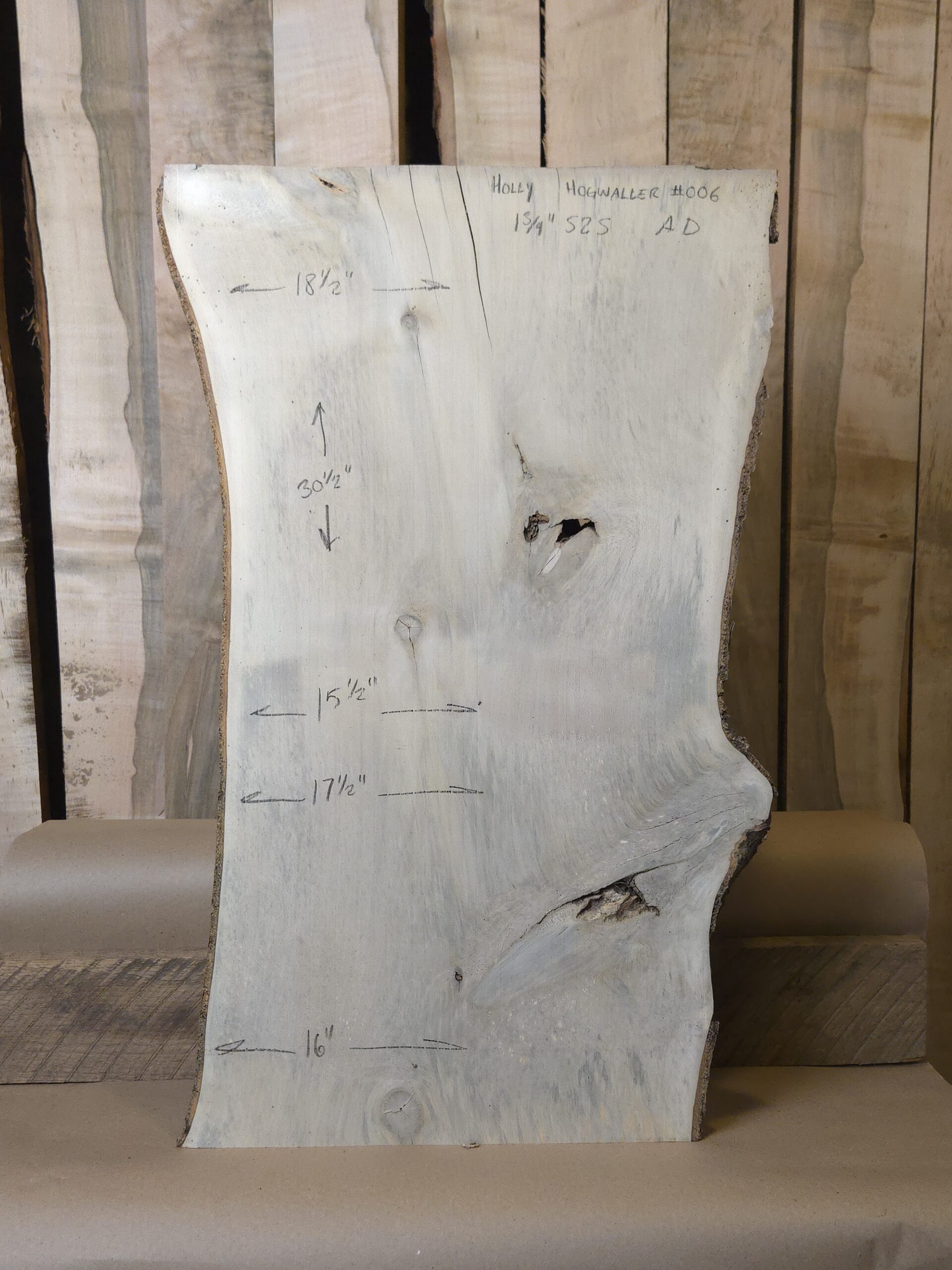 Holly – Hogwaller #006