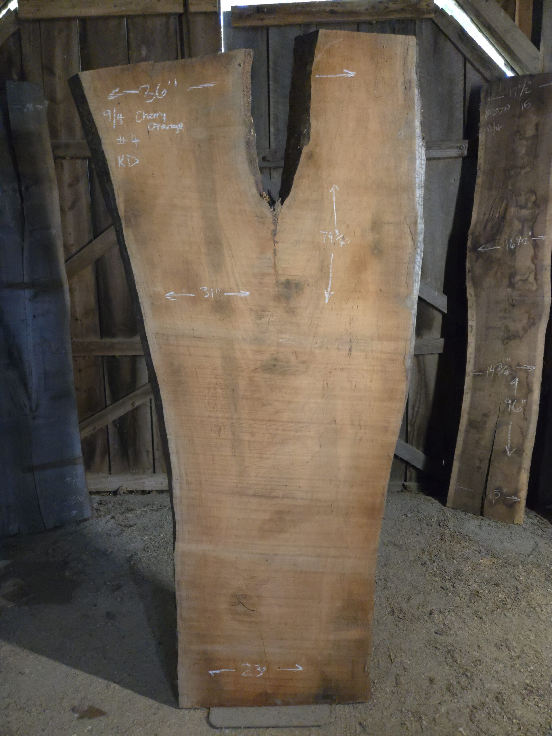 CHO-260105-002 — Black Cherry (Prunus serotina)